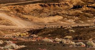 为什么禁止使用非法物质摩搓球