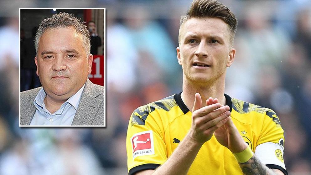 得分和组织 得分和组织